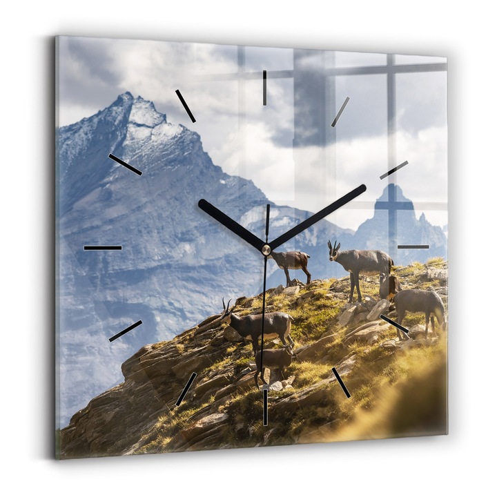 Falióra, Wallfluent, üveg, Fekete mutatók, Nincsenek számok, Kecske az Aosta völgyében, Barna, Négyzetek 30x30 cm, 010010500010200268497