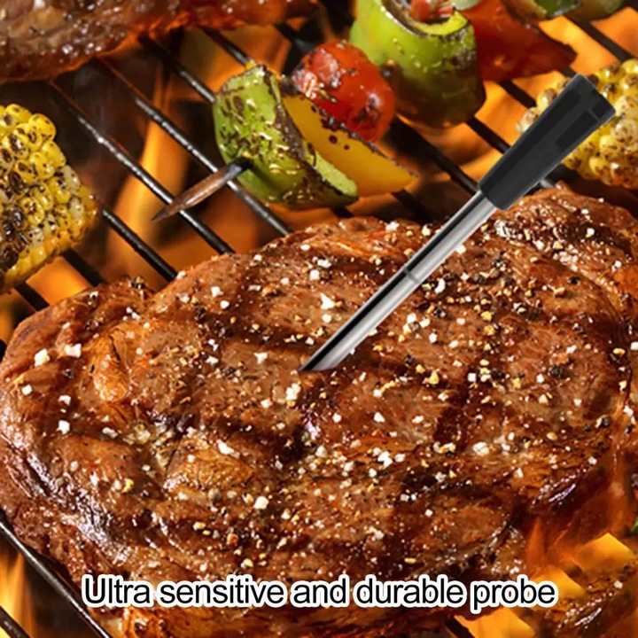 Термометър, безжичен, за месо, Bluetooth, метален, 3 сонди, сребрист