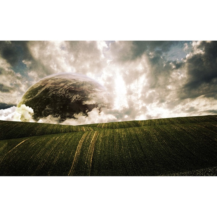 Tablou Canvas, Camp Cu Iarba Verde 25, 90x50 cm