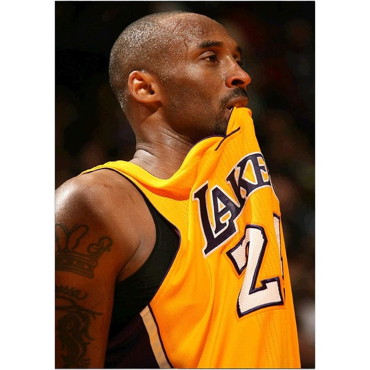 Pictura pe numere cu diamante 5d tema KOBE, 30x40 cm, DCIDBEI