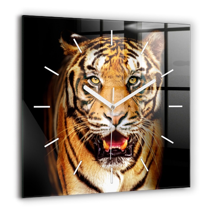 Ceas de perete, Wallfluent, de sticla, Mainile albe, Fara cifre, Tiger - vedere salbatica, Portocaliu, Patrate 60x60 cm, 010010500080100270796