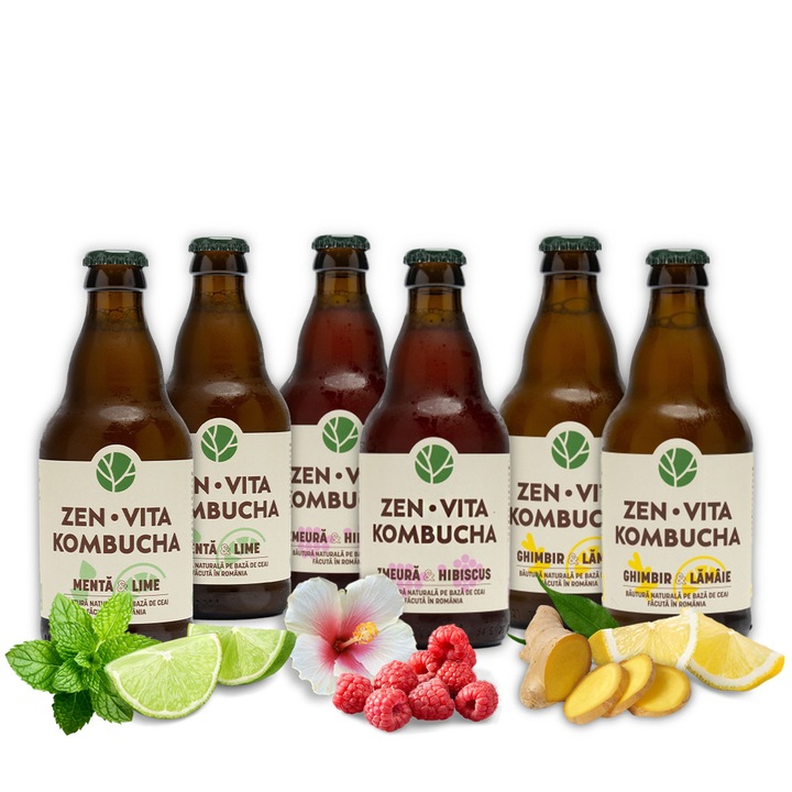 Kombucha, Set 6 sticle x 330 ml, Zenvita, mix 3 arome, nepasteurizat (RAW)