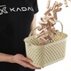 Cos pentru clesti de rufe, KADAX, Plastic, 22.5 x 14.8 x 12.5cm, Bej