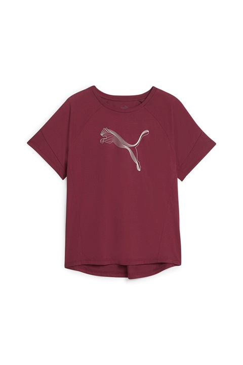 Puma, Evostripe dryCELL logómintás póló, Bordó