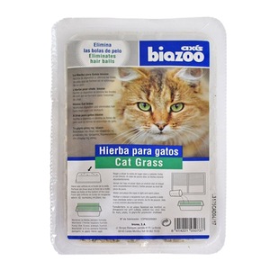 Biscuiti si recompense