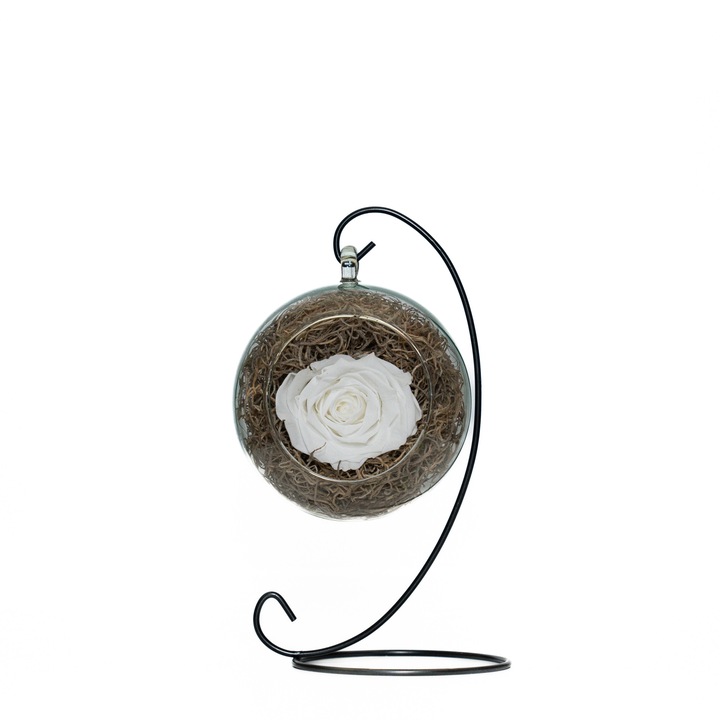 Trandafir criogenat pe pat de Tillandsia in glob de sticla si suport metalic negru, Alb, Star Decor