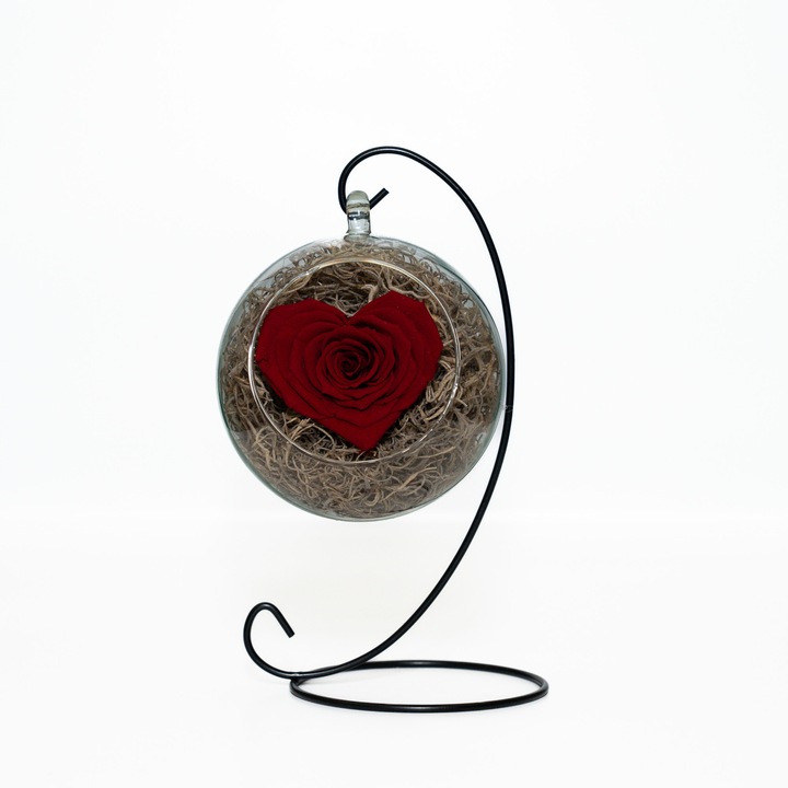 Trandafir criogenat inima pe pat de Tillandsia in glob de sticla si suport metalic negru, Rosu, Star Decor