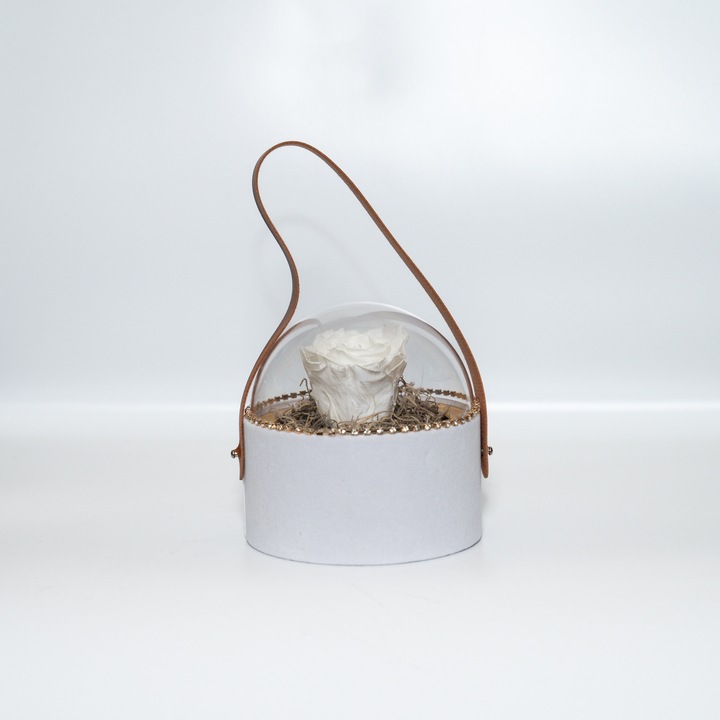 Trandafir criogenat pe pat de Tillandsia in cutie de catifea alba, Alb, Star Decor