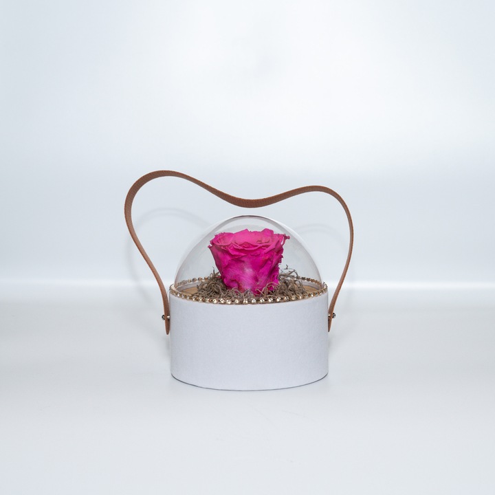 Trandafir criogenat pe pat de Tillandsia in cutie de catifea alba, Roz, Star Decor