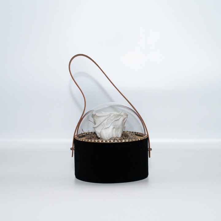 Trandafir criogenat pe pat de Tillandsia in cutie de catifea neagra, Alb, Star Decor