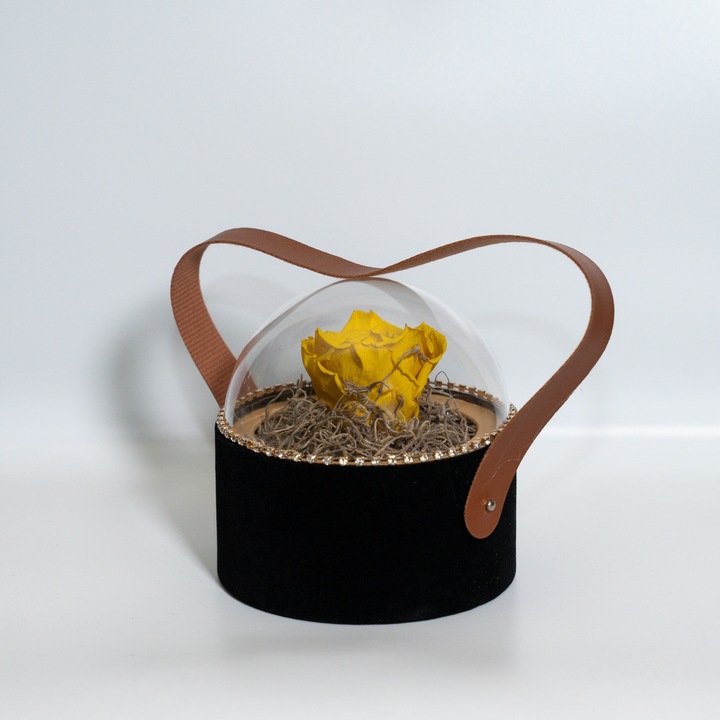 Trandafir criogenat pe pat de Tillandsia in cutie de catifea neagra, Galben, Star Decor