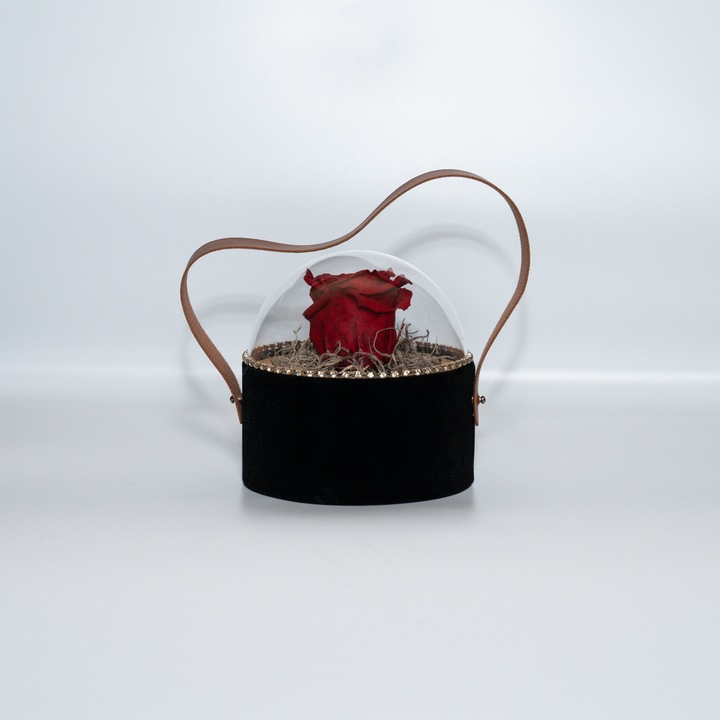 Trandafir criogenat pe pat de Tillandsia in cutie de catifea neagra, Rosu, Star Decor
