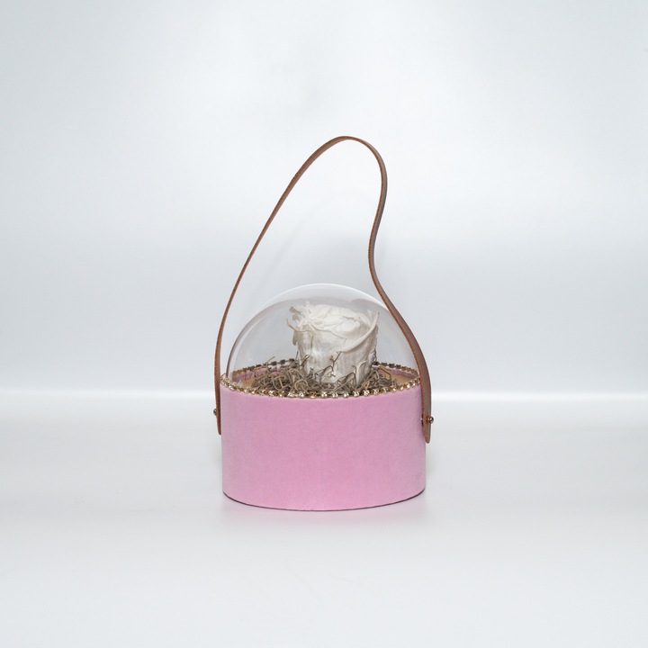Trandafir criogenat pe pat de Tillandsia in cutie de catifea roz, Alb, Star Decor