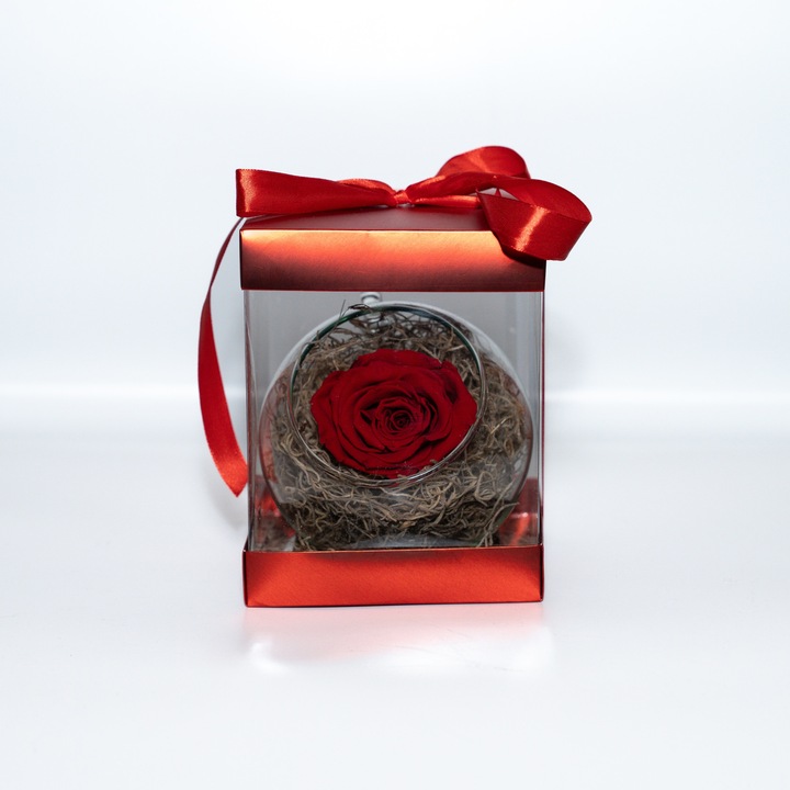 Trandafir criogenat pe pat de Tillandsia in glob de sticla si cutie patrata rosie, Rosu, Star Decor