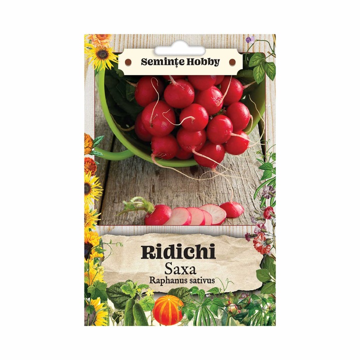 Seminte legume Ridichi Saxa, 3 g