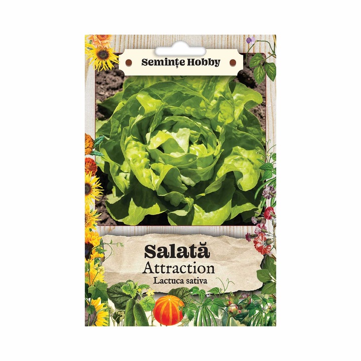 Seminte legume salata Attraction, 3 g