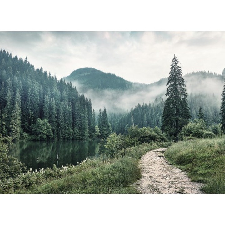 Tablou Canvas Forest Trail 84x116 Cm