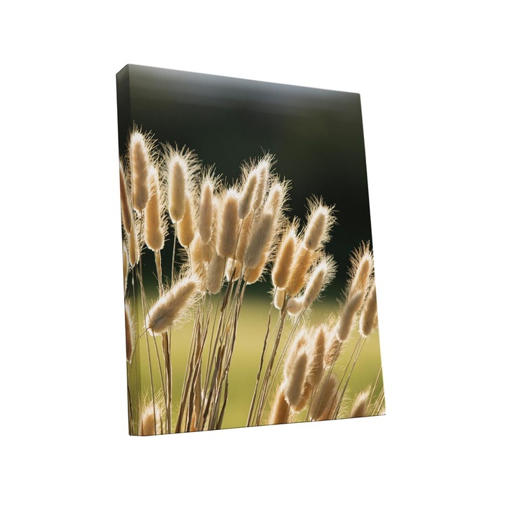 Tablou canvas Intelli®, Decoratiuni moderne pentru Living, Dormitor, Flori, A1229, 40x30 cm