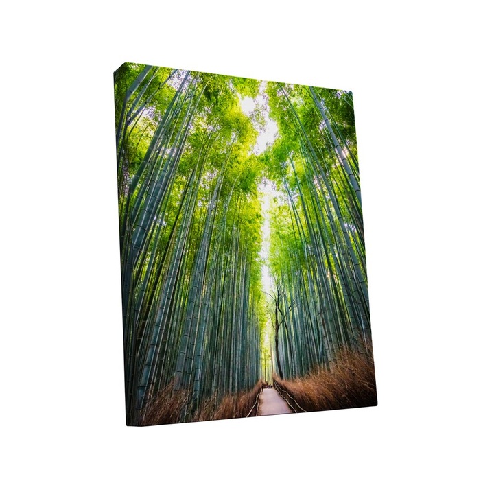 Tablou canvas Intelli®, Decoratiuni moderne pentru Living, Dormitor, Padure de toamna, A1230, 170x110 cm