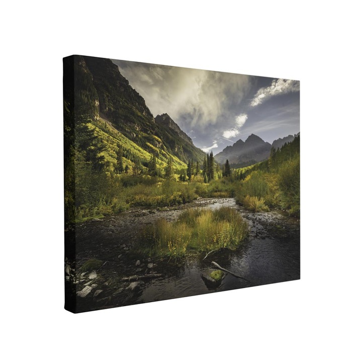 Tablou canvas Intelli®, Decoratiuni moderne pentru Living, Dormitor, Paraul Si Munti, F1347, 70x100 cm