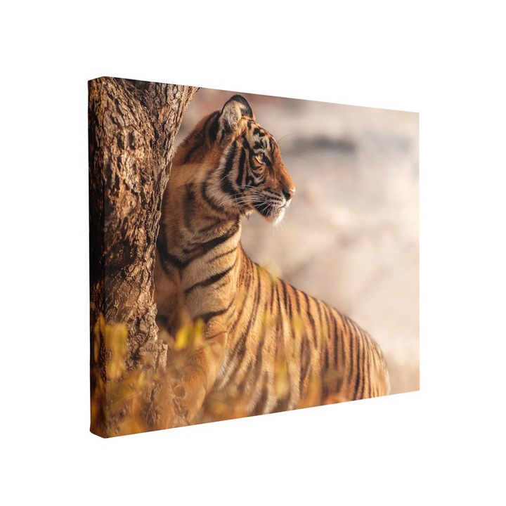 Tablou canvas Intelli®, Decoratiuni moderne pentru Living, Dormitor, Tiger, F1324, 80x120 cm