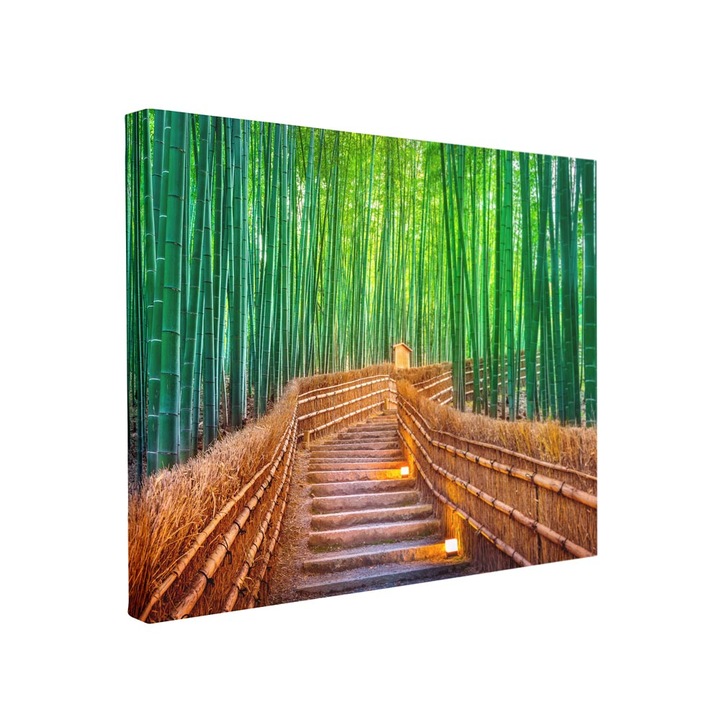 Tablou canvas Intelli®, Decoratiuni moderne pentru Living, Dormitor, Cale In Padure, F1329, 55x80 cm