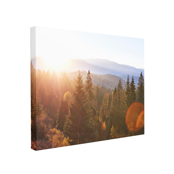 Tablou canvas Intelli®, Decoratiuni moderne pentru Living, Dormitor, Shiny Forest, F1334, 70x100 cm