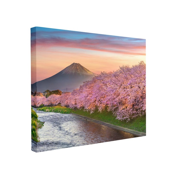 Tablou canvas Intelli®, Decoratiuni moderne pentru Living, Dormitor, Flori Si Munti, F1364, 30x40 cm