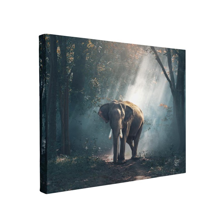 Tablou canvas Intelli®, Decoratiuni moderne pentru Living, Dormitor, Elefant, F1383, 30x40 cm