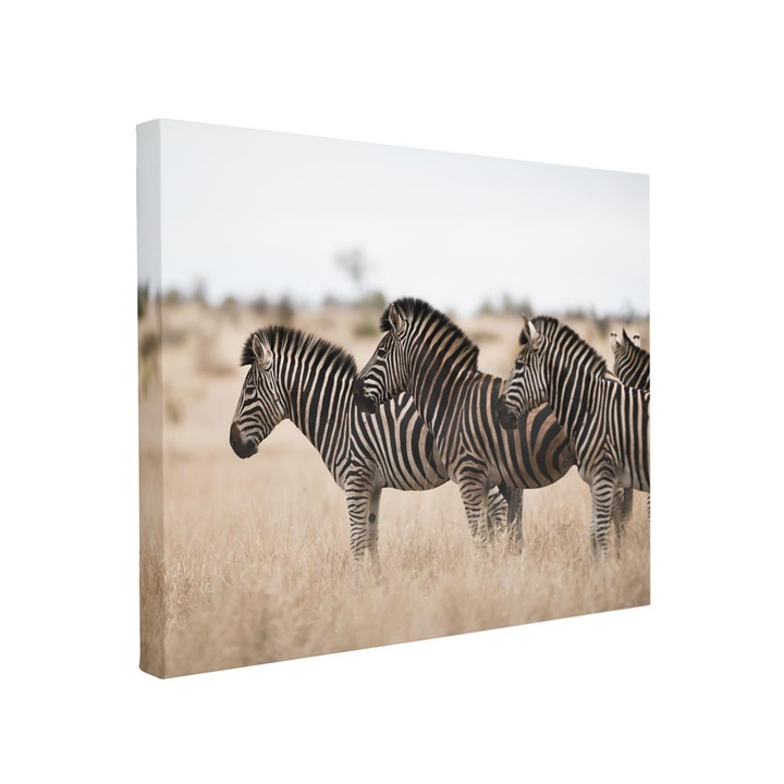 Tablou canvas Intelli®, Decoratiuni moderne pentru Living, Dormitor, Safari, F1395, 110x170 cm