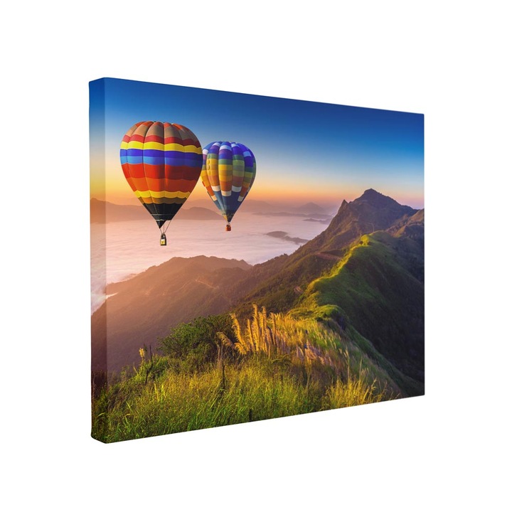 Tablou canvas Intelli®, Decoratiuni moderne pentru Living, Dormitor, Baloane Peste Munti, F1405, 30x40 cm