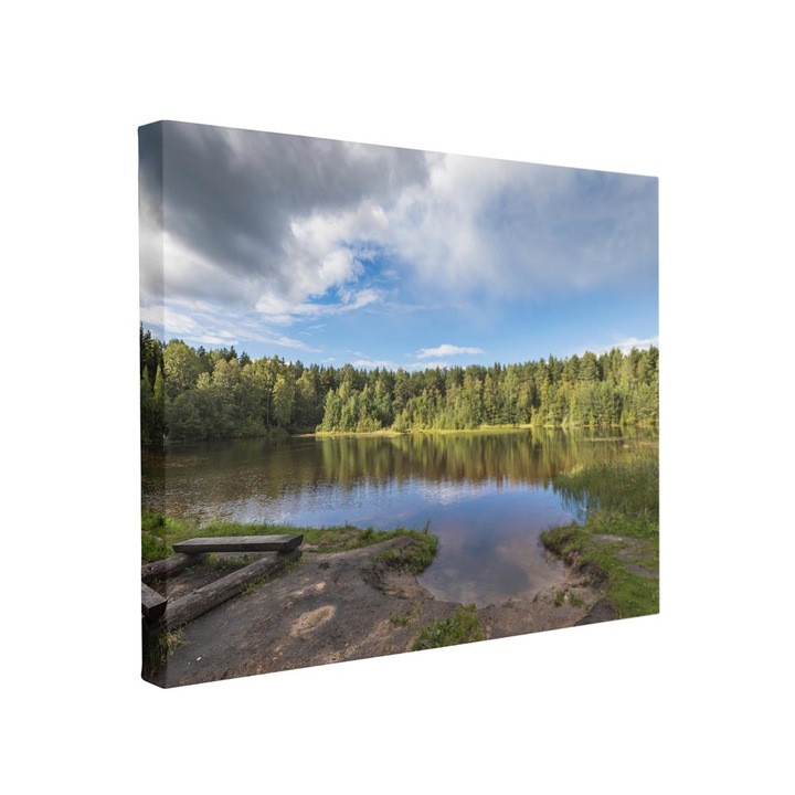 Tablou canvas Intelli®, Decoratiuni moderne pentru Living, Dormitor, Lac Si Paduri, F1415, 30x40 cm