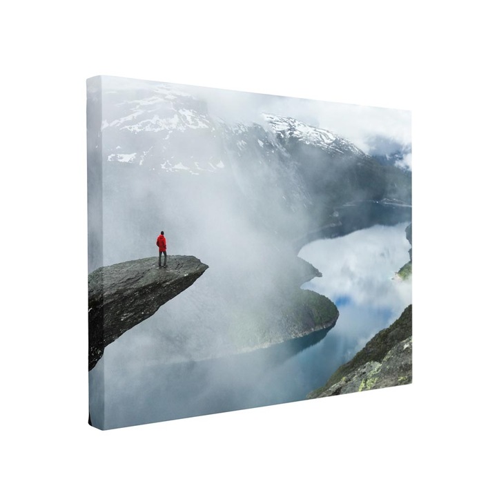 Tablou canvas Intelli®, Decoratiuni moderne pentru Living, Dormitor, Observator, F1419, 55x80 cm