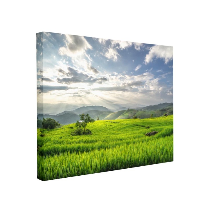 Tablou canvas Intelli®, Decoratiuni moderne pentru Living, Dormitor, Peisaj, F1473, 30x40 cm