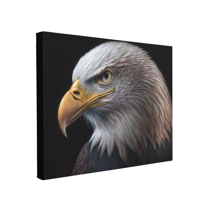 Канава картина Intelli®, Модерни декорации за всекидневна, спалня, орел, F1454, 90x120 см