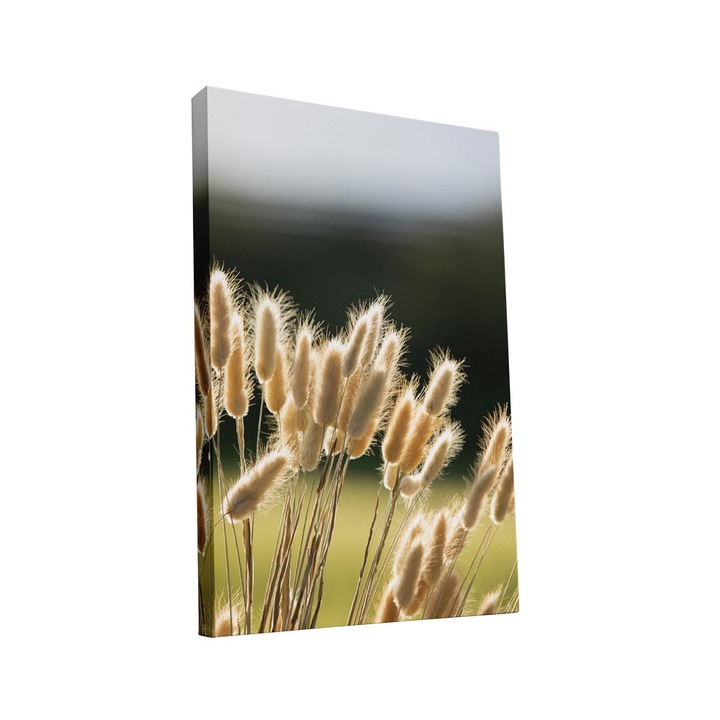 Tablou canvas Intelli®, Decoratiuni moderne pentru Living, Dormitor, Flori, AH1229, 110x70 cm