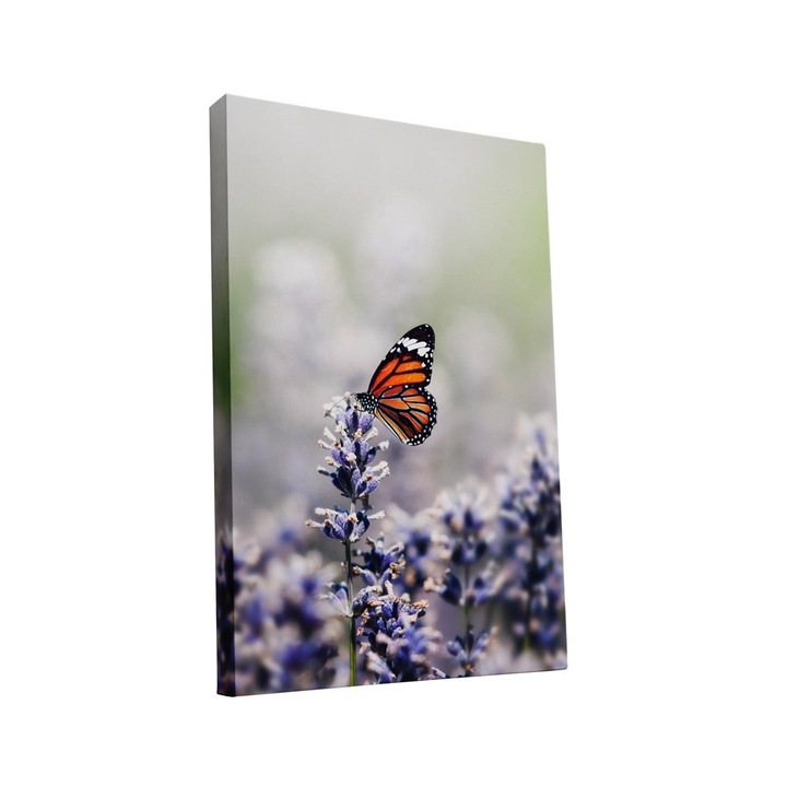 Tablou canvas Intelli®, Decoratiuni moderne pentru Living, Dormitor, Fluturi si flori, AH1241, 40x25 cm