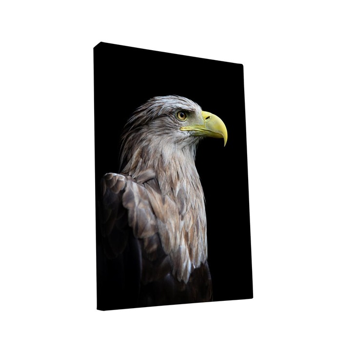 Tablou canvas Intelli®, Decoratiuni moderne pentru Living, Dormitor, Eagle, AH1248, 130x80 cm