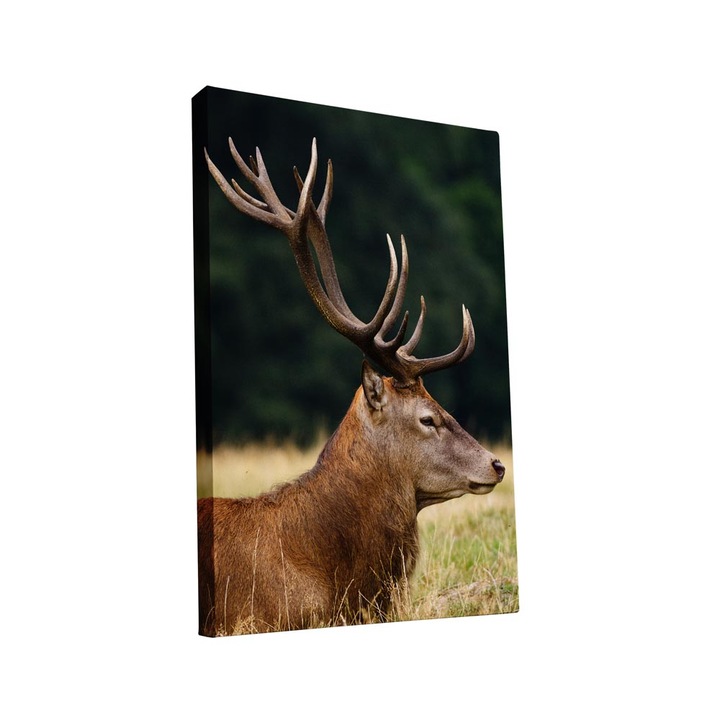 Tablou canvas Intelli®, Decoratiuni moderne pentru Living, Dormitor, Cerb, AH1255, 160x90 cm