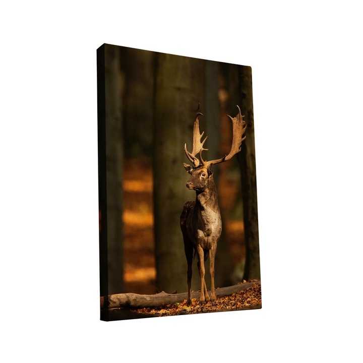 Tablou canvas Intelli®, Decoratiuni moderne pentru Living, Dormitor, Cerb, AH1258, 40x25 cm