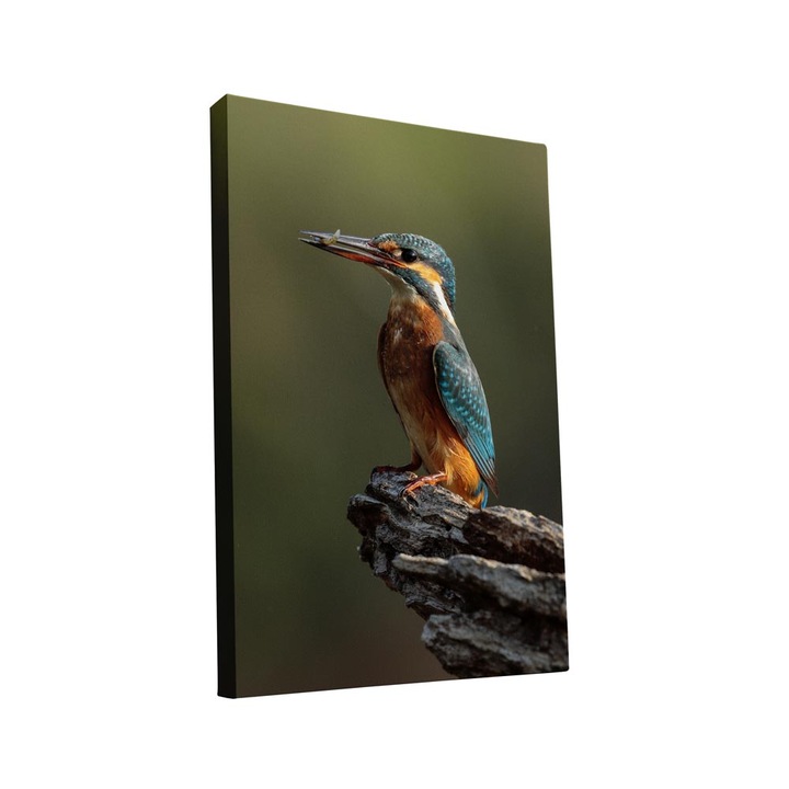 Tablou canvas Intelli®, Decoratiuni moderne pentru Living, Dormitor, Pasare, AH1259, 40x25 cm