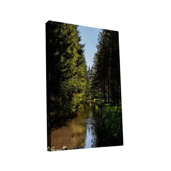 Картина пано Intelli®, Модерни декорации за всекидневна, спалня, Поток в гората, AH1260, 40x25 см
