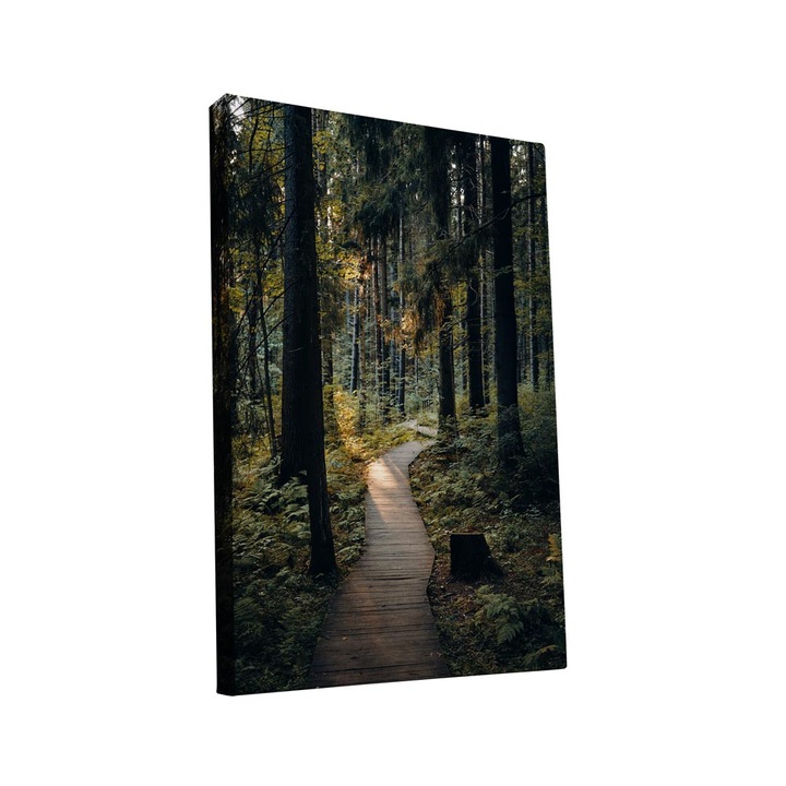 Tablou canvas Intelli®, Decoratiuni moderne pentru Living, Dormitor, Forest, AH1271, 40x25 cm