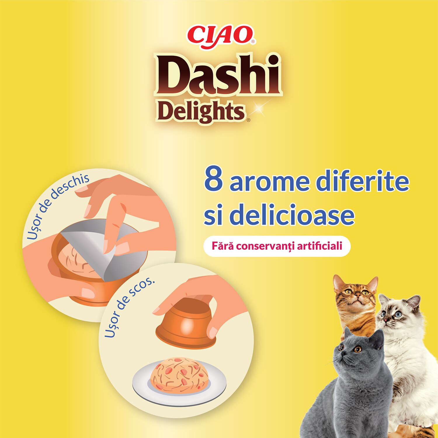 INABA Dashi Delights - Brodo Per Gatti Con Pollo E Salmone, 6 Coppette Da 70gr, Cibo Umido Con Dashi