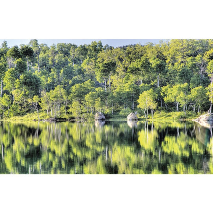 Tablou Canvas Oglinda Naturii 95x150 Cm