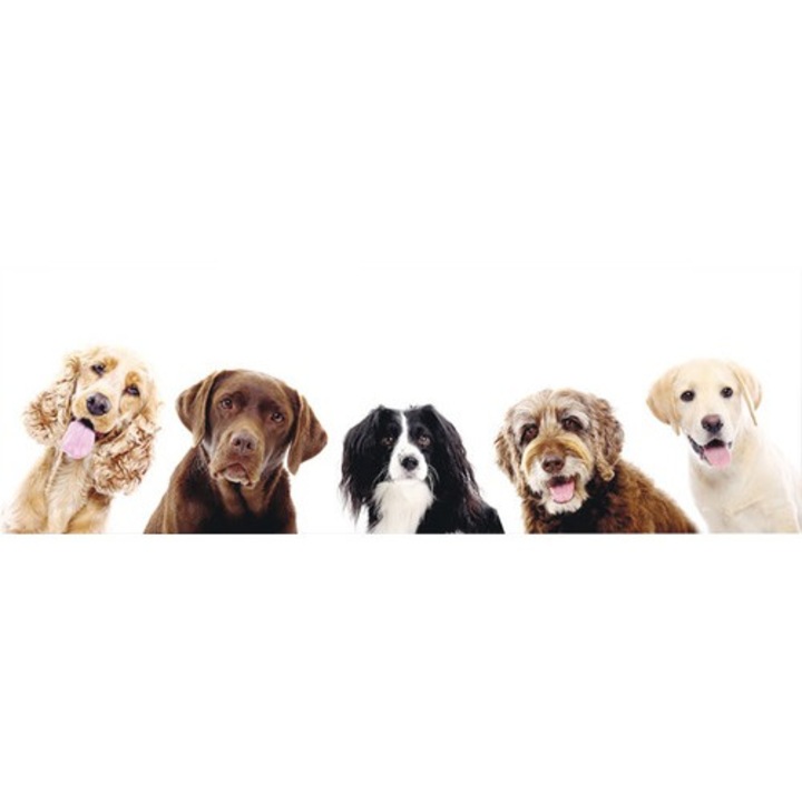 Tablou Canvas Paws 50x150 Cm