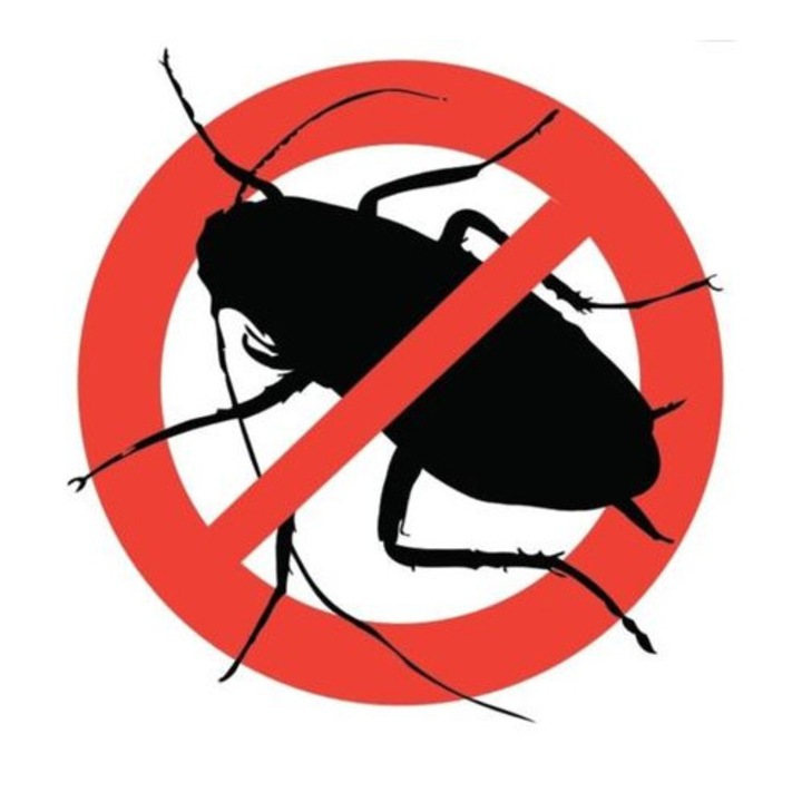 Set 2 Solutii pentru Gandaci tip gel, RoachDoctor, cu Efect Imediat