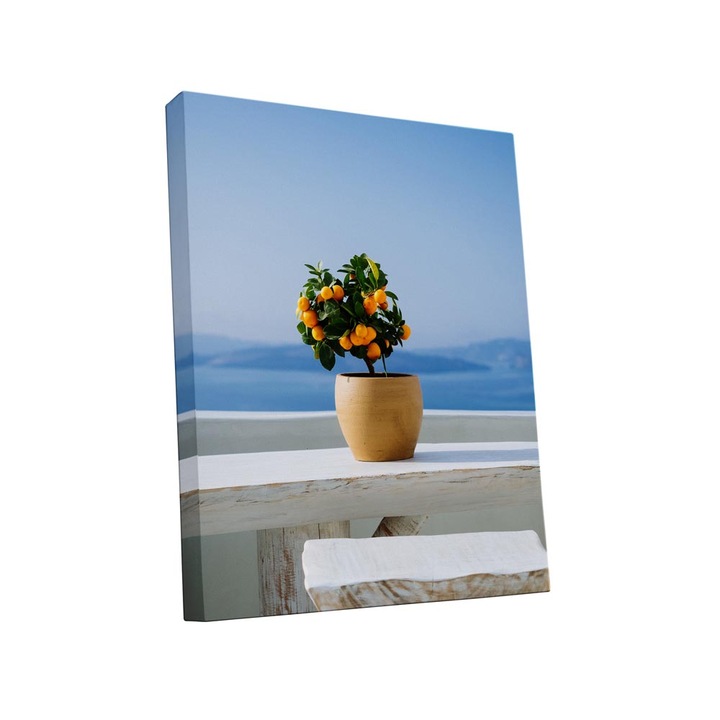 Tablou canvas Intelli®, Decoratiuni moderne pentru Living, Dormitor, Flori, A1234, 90x60 cm