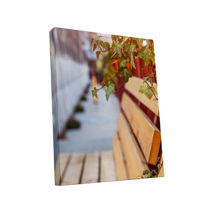 Tablou canvas Intelli®, Decoratiuni moderne pentru Living, Dormitor, Banca, A1256, 120x80 cm