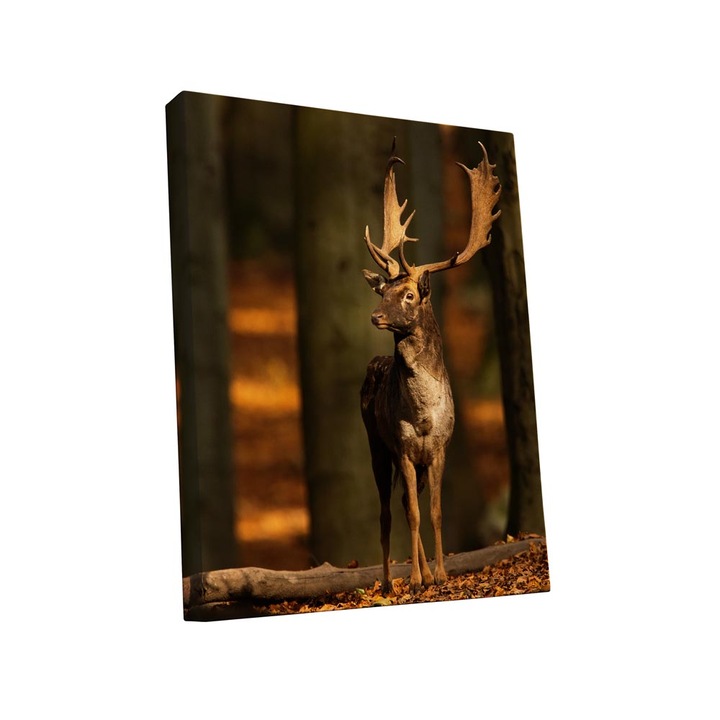 Tablou canvas Intelli®, Decoratiuni moderne pentru Living, Dormitor, Cerb, A1258, 60x40 cm